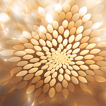 Mindspace Premium plan image