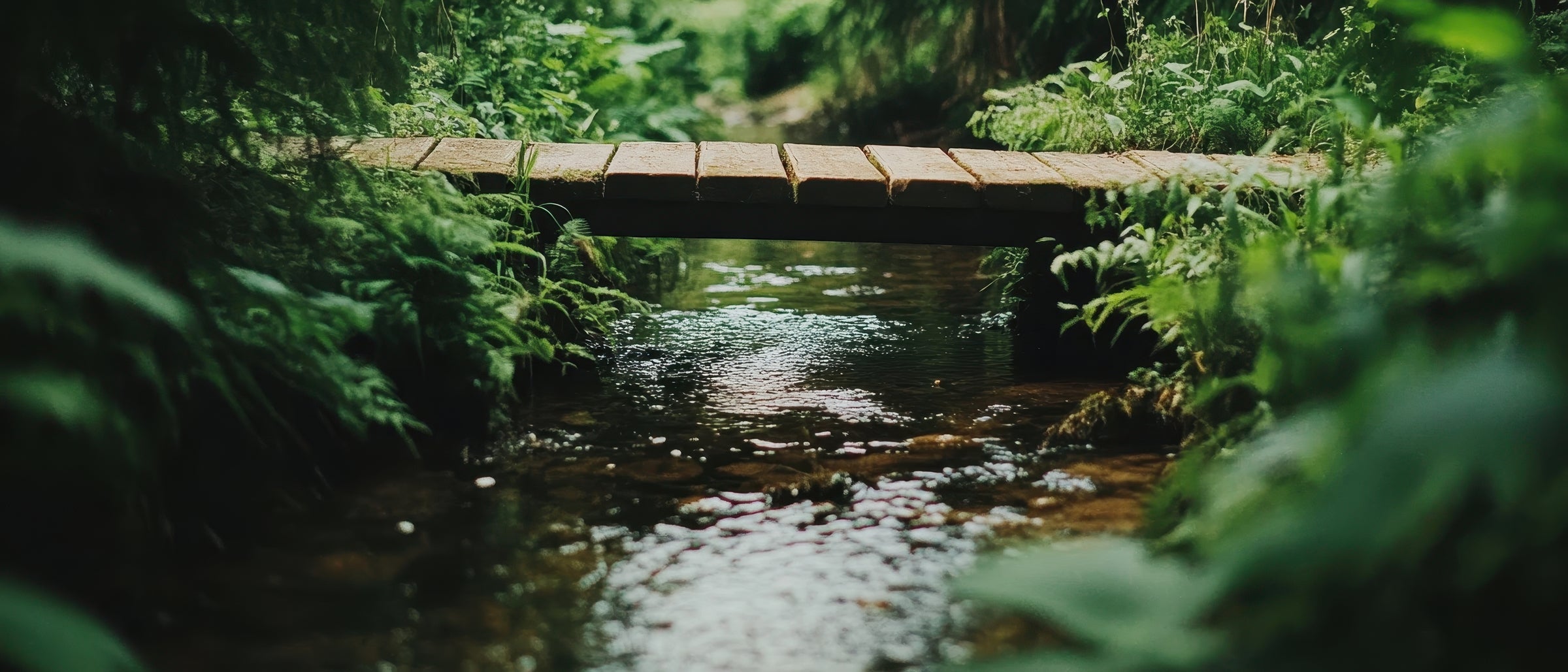 Peaceful bridge over stream