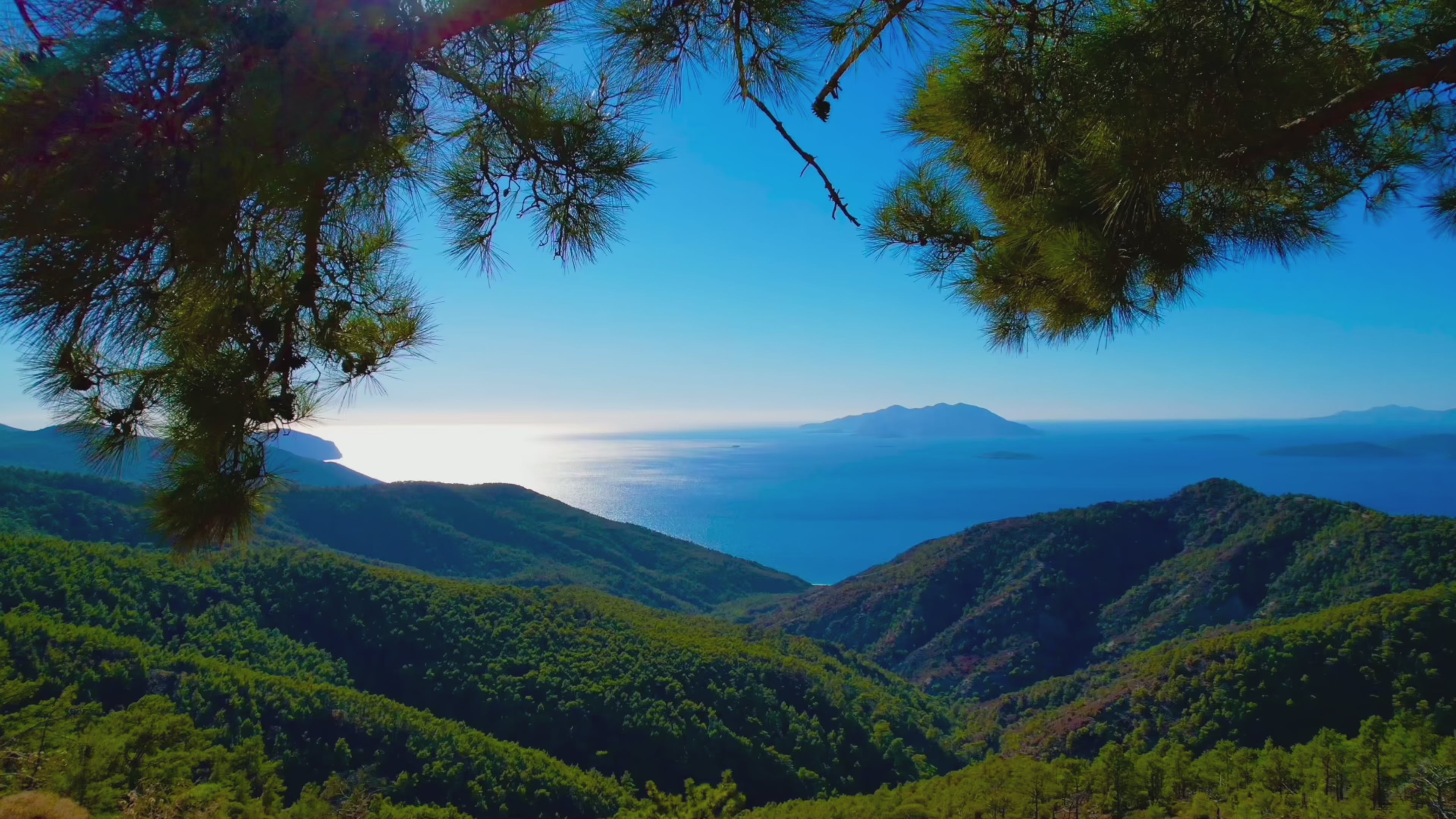 Load video: Tranquil coastal view framed by pine branches, overlooking sunlit forested hills and a calm blue sea with a distant island on the horizon — evoking peace, clarity, and connection with nature.
