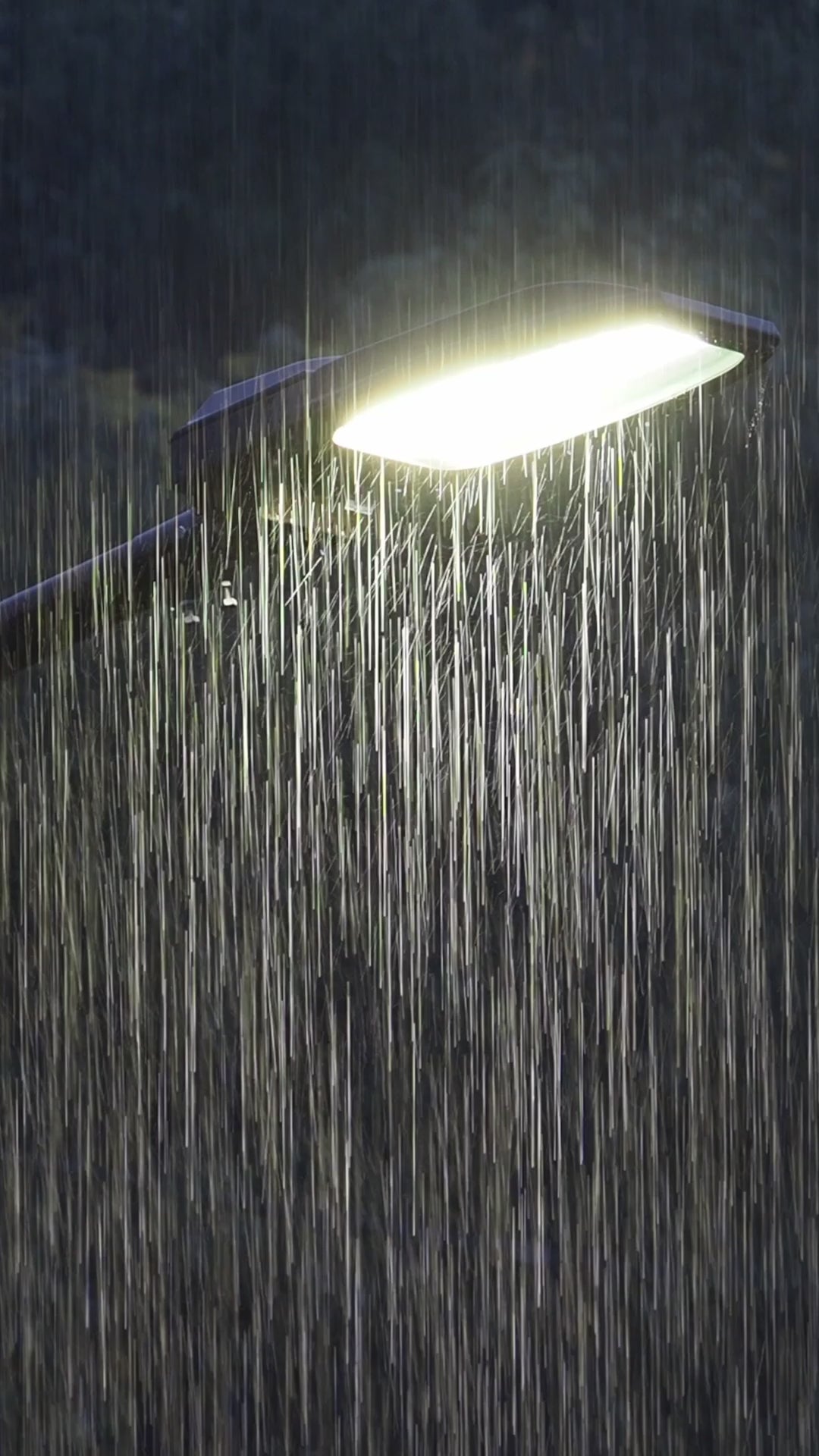 Load video: Heavy evening rain video illuminated by a glowing streetlamp, with dark forest trees softly fading into the background.
