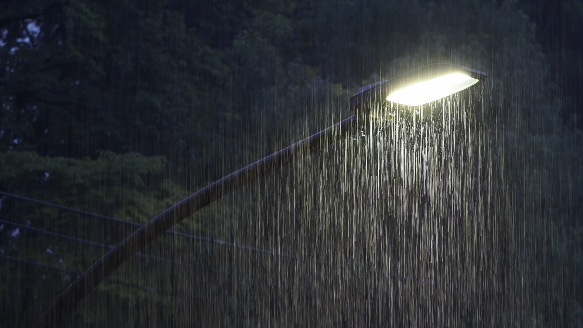 Load video: Heavy evening rain video illuminated by a glowing streetlamp, with dark forest trees softly fading into the background.