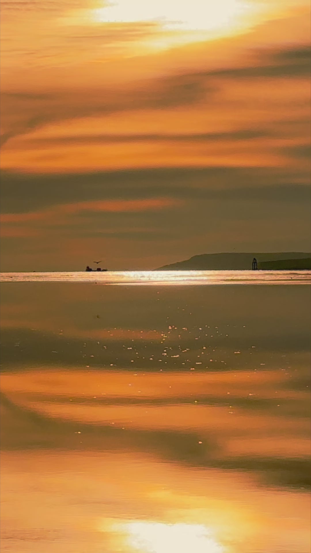 Load video: A video of Golden light shimmerig across a still ocean at sunset, with distant birds in flight and a soft silhouette of land meeting the horizon in tranquil silence - just the sound of gentle waves on the shoreline