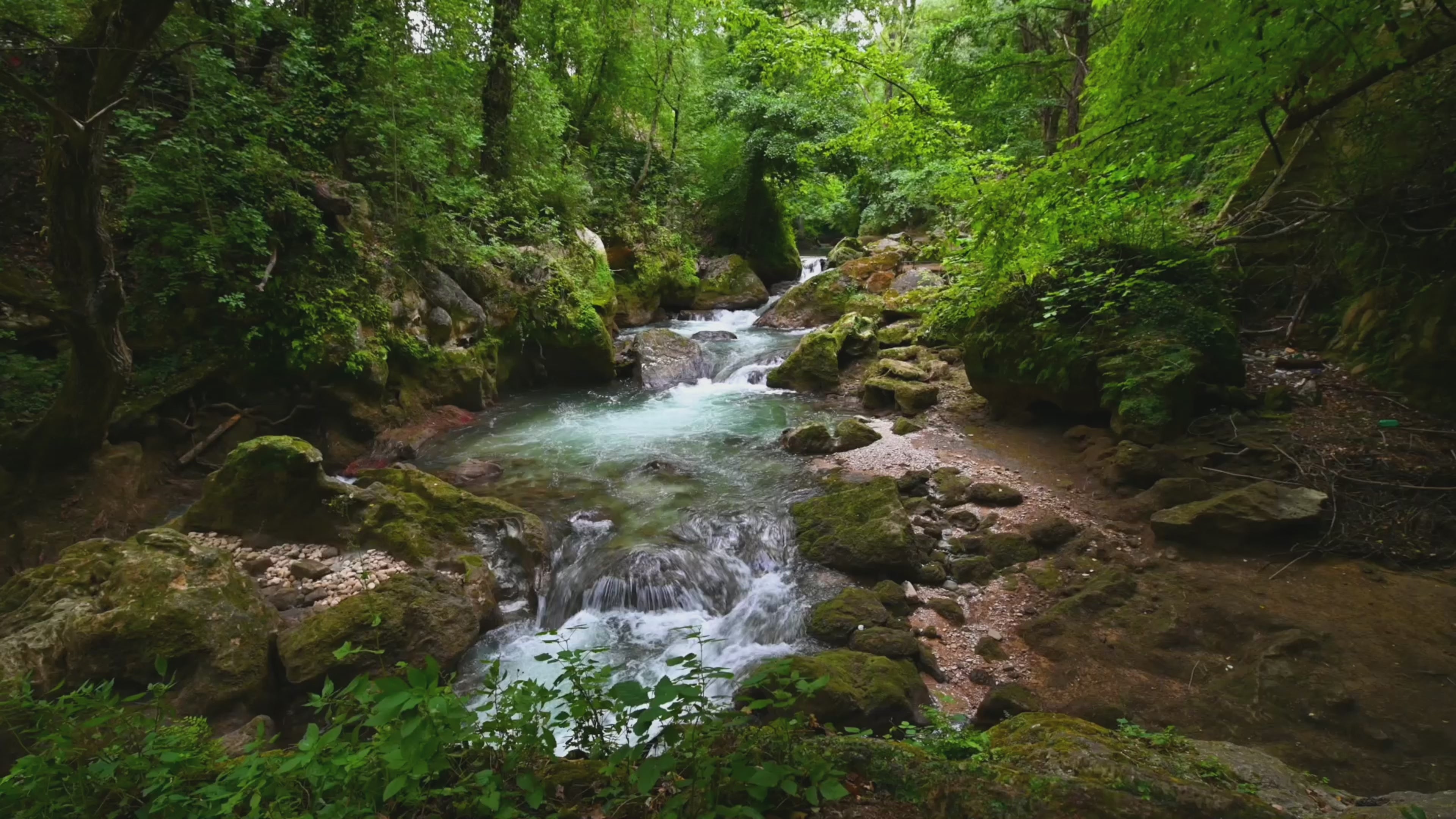 Załaduj wideo: Video of Crystal-clear stream cascading over mossy rocks in a lush green forest, creating a tranquil and refreshing woodland escape.