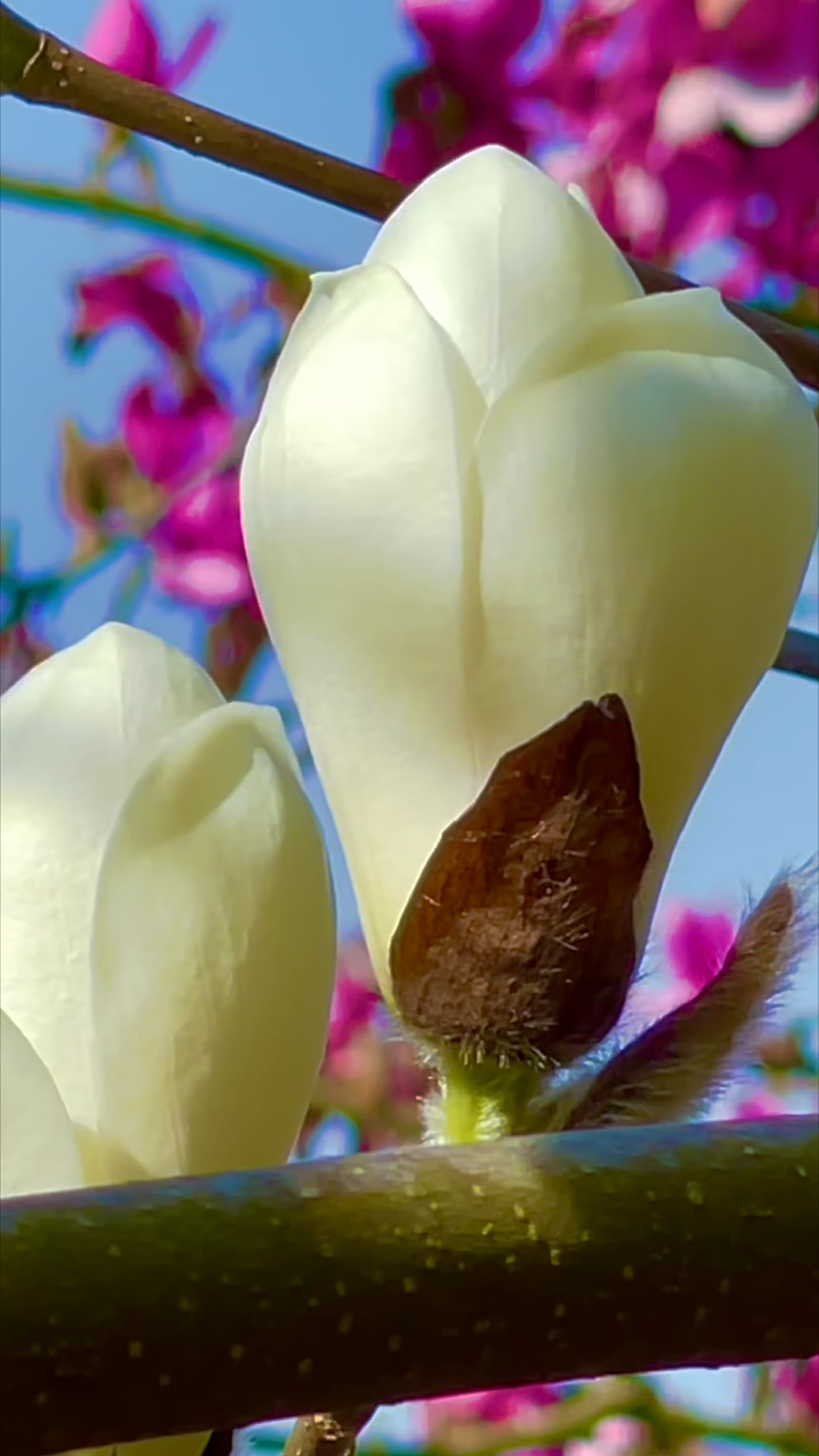 Load video: