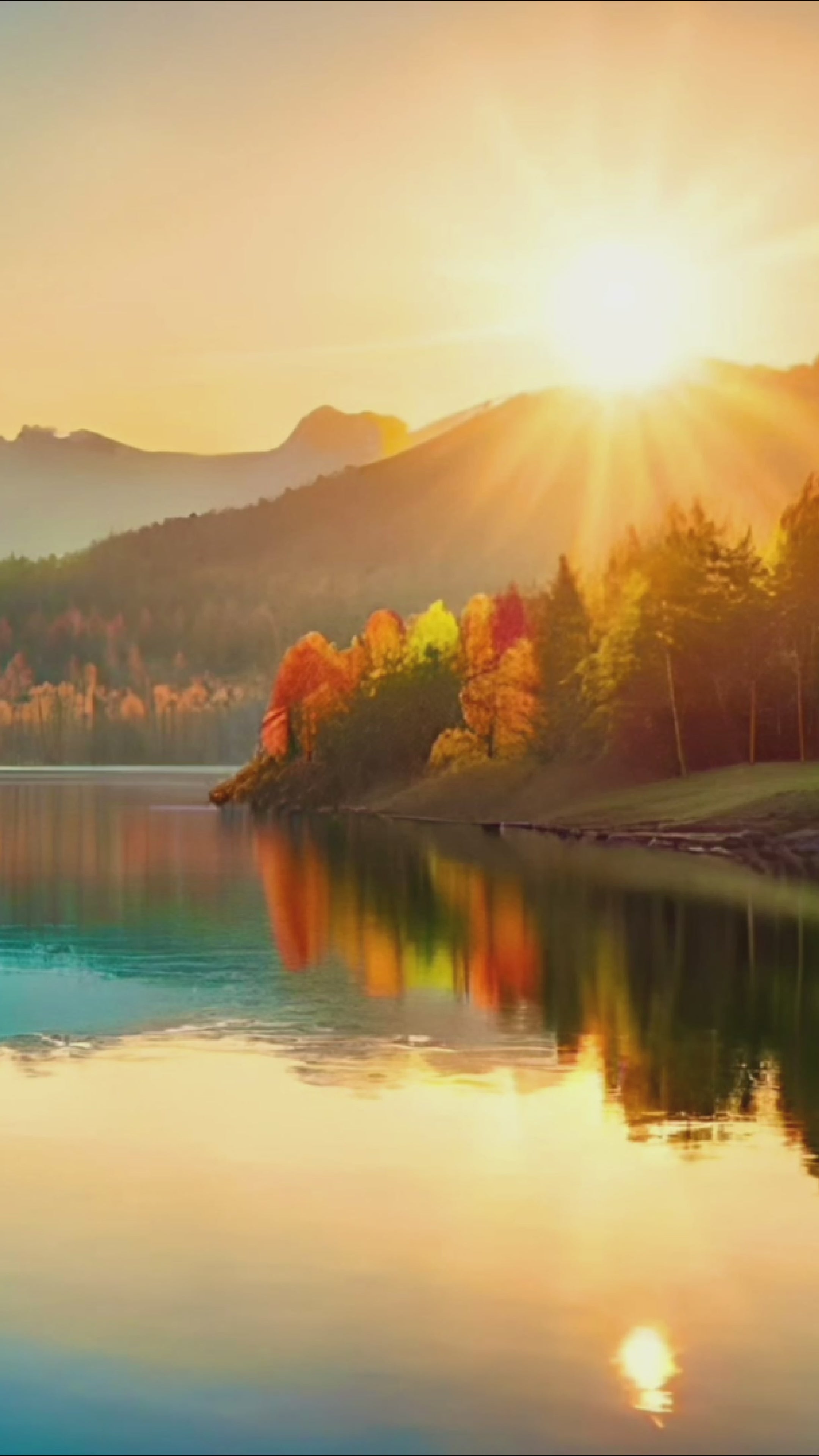 Load video: Shades of Autumn