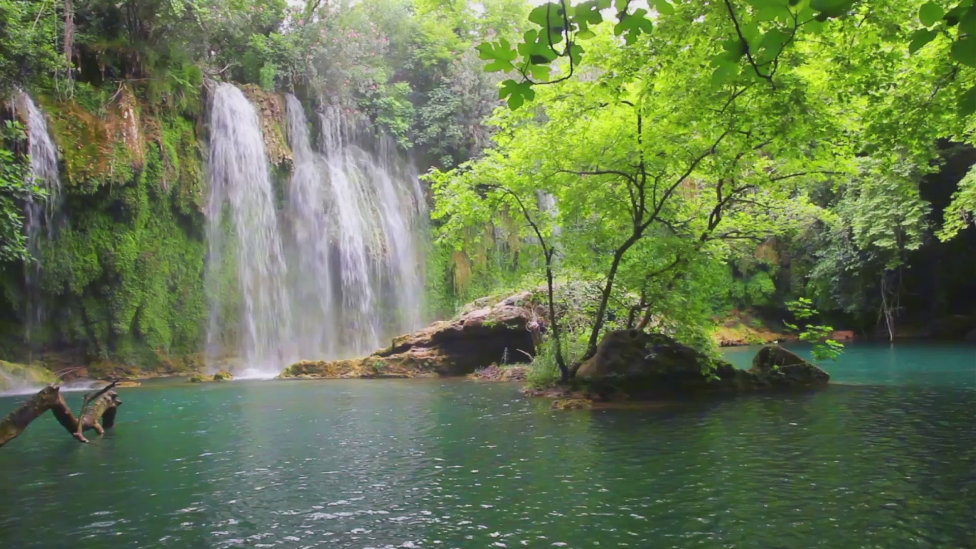 Load video: Mindspace Calm for Meditation