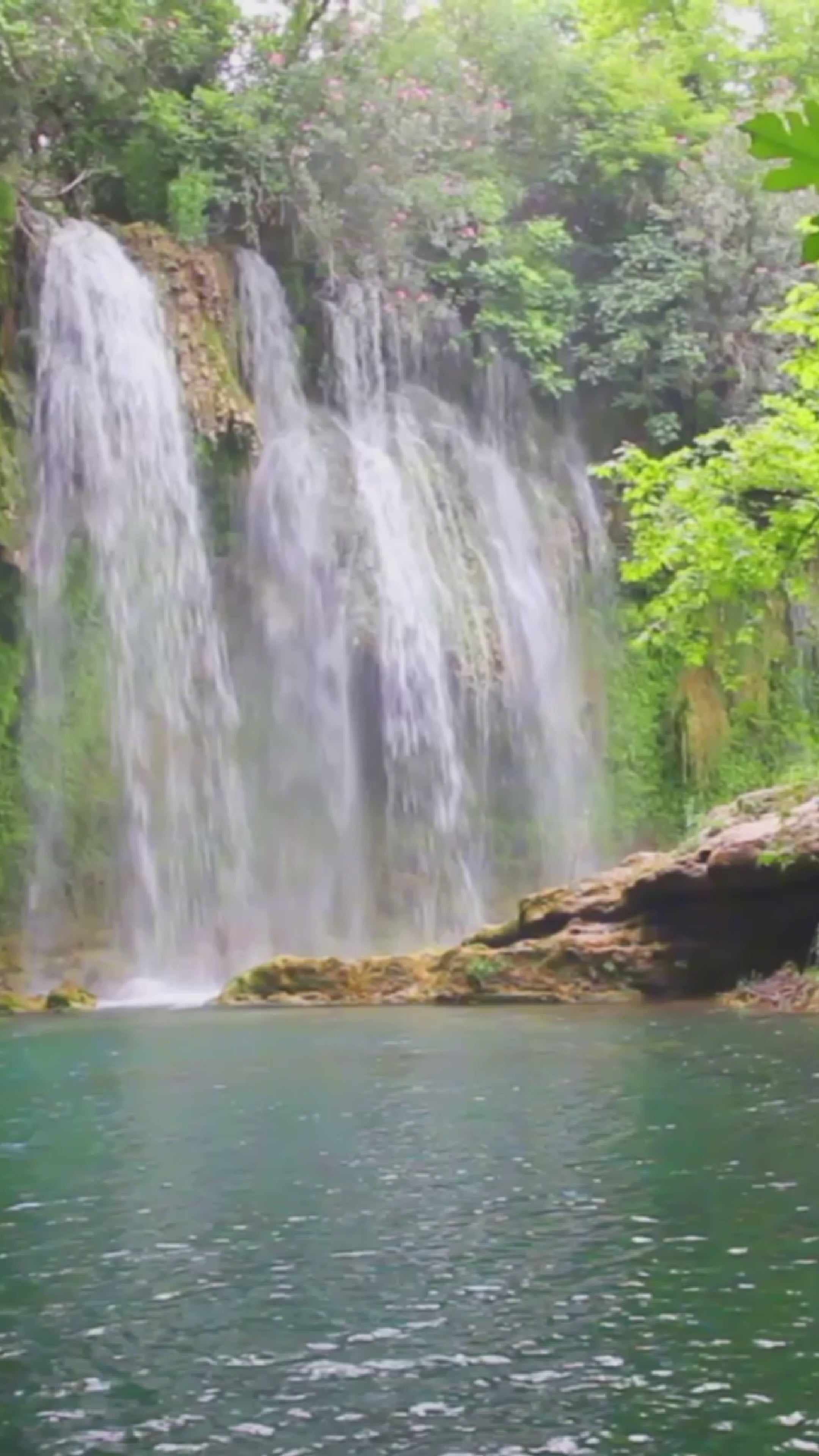 Load video: Mindspace Calm for Meditation