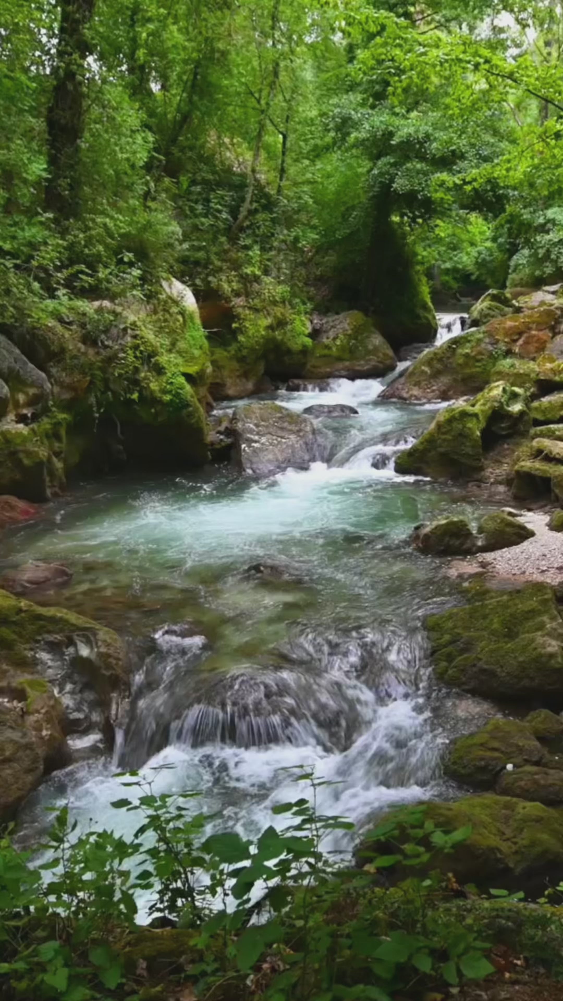 Załaduj wideo: Video of Crystal-clear stream cascading over mossy rocks in a lush green forest, creating a tranquil and refreshing woodland escape.