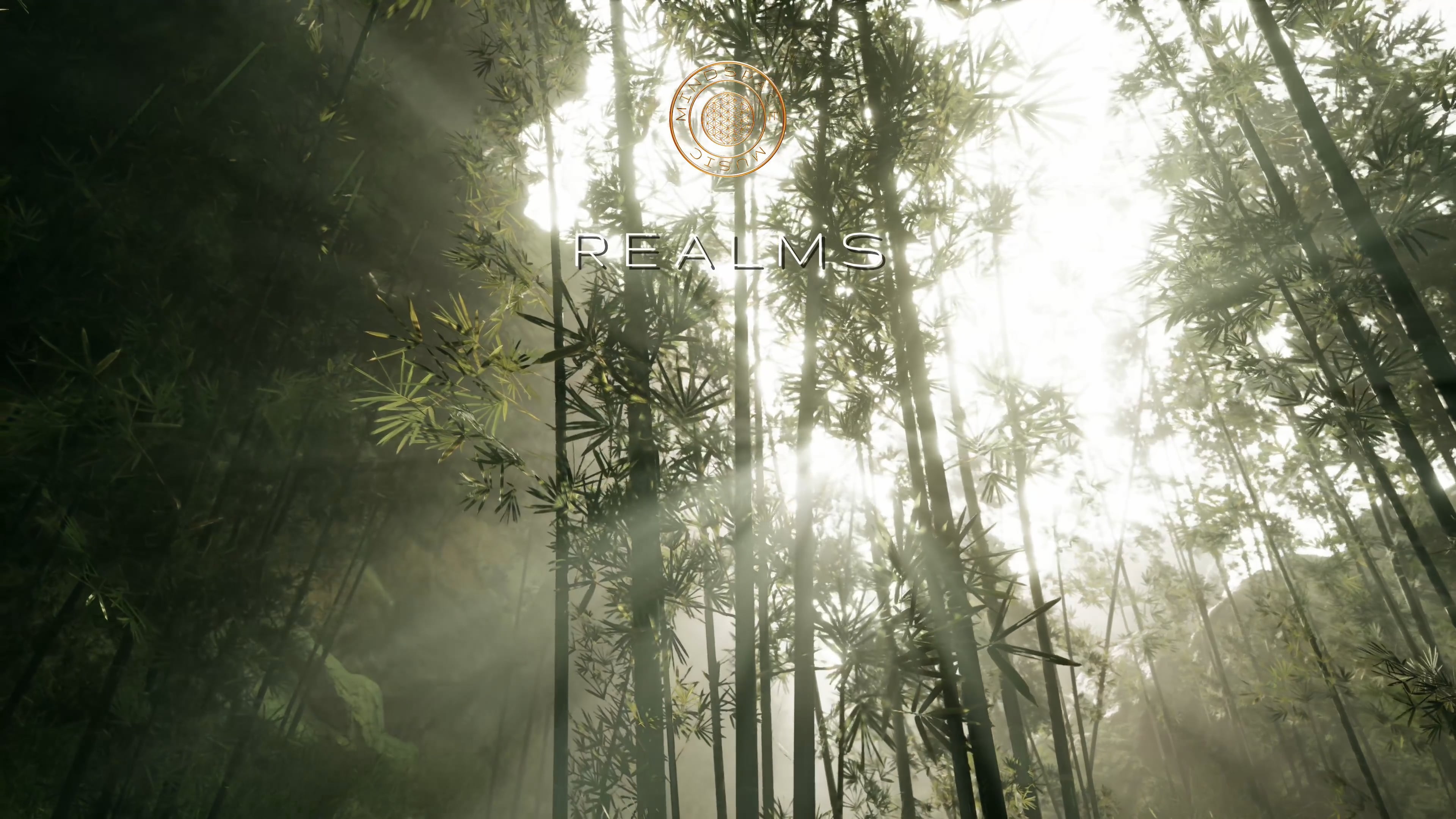 Load video: Zen Forest Meditation by Mindspace
