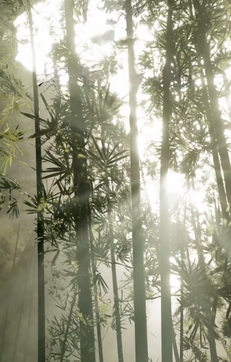 Load video: Zen Forest Meditation by Mindspace
