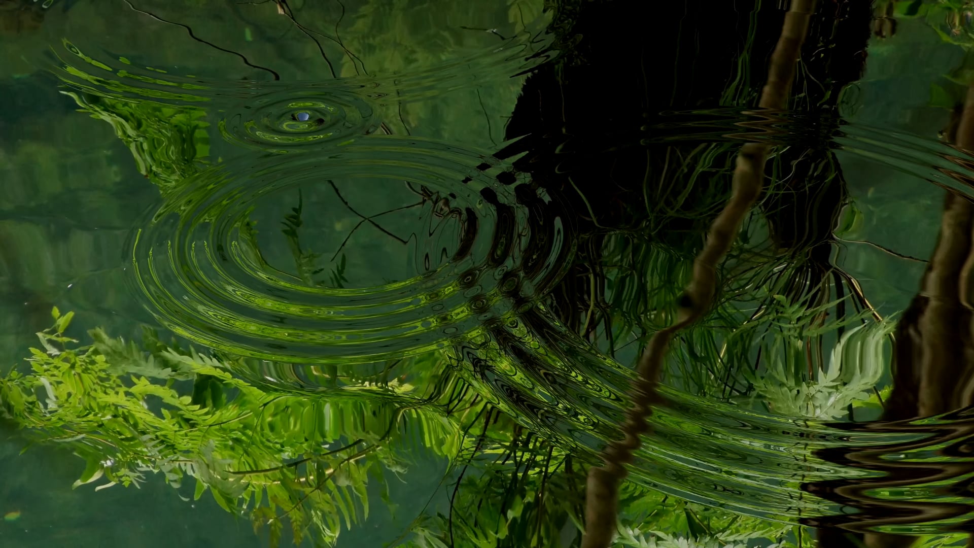 Load video: Water drop in pond during rain for deep sleep