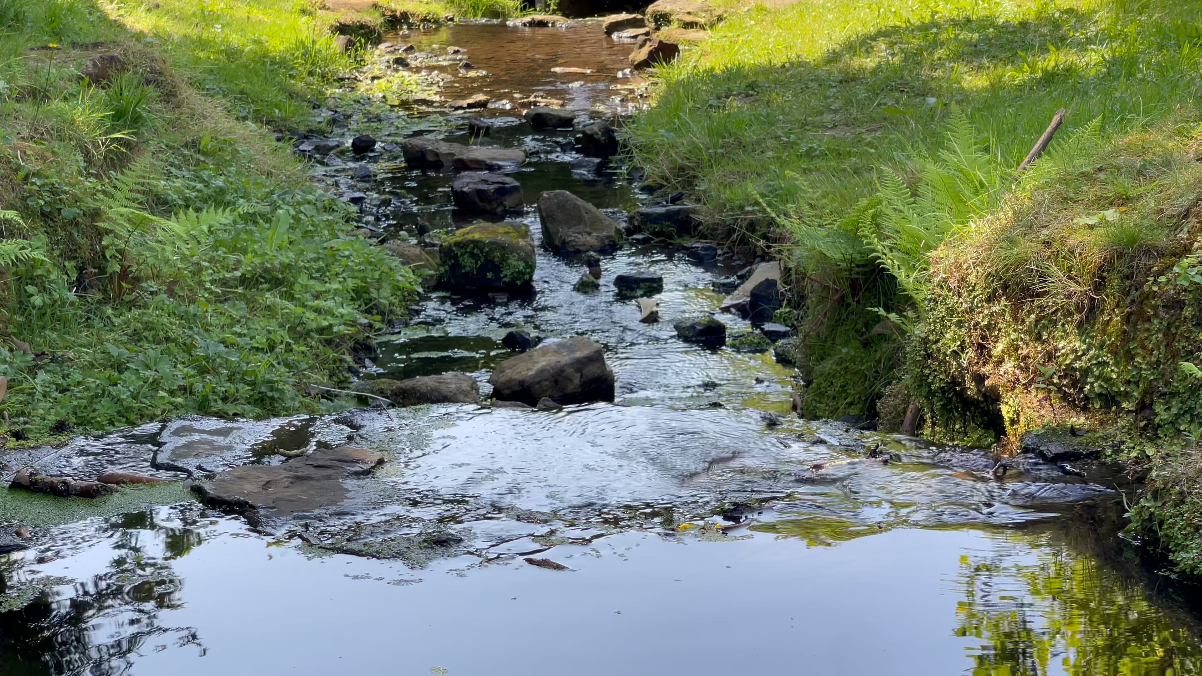 Load video: Water drop in pond during rain for deep sleep